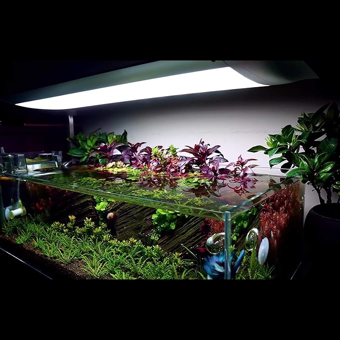 ONF Flat One+ 24-inch 24/7 Automated LED Aquarium Light, 3000-6500K Yellow White LED, Mobile APP Remote Controlled, Dimmable Full Spectrum Sunrise/Set for Plant Growth, Pendant Style for Fish Tank ONF