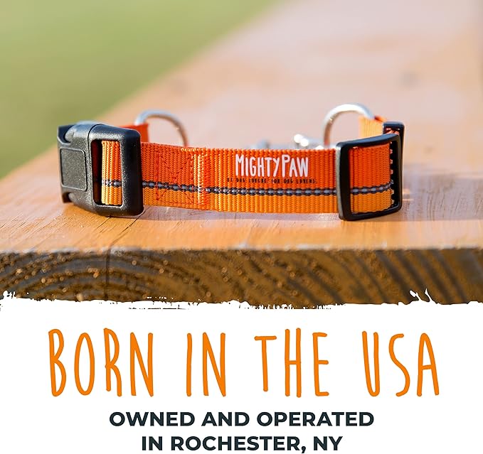Mighty Paw Martingale Dog Collar 2.0 | Trainer Approved Limited Slip Collar with Stainless Steel Chain & Heavy Duty Buckle - Modified Cinch for Gentle & Effective Pet Training - Large, Orange MightyPaw