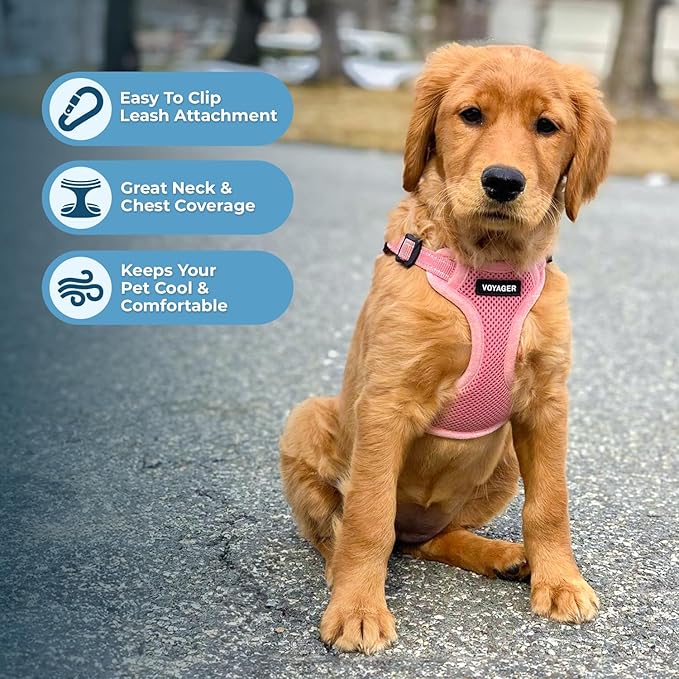 Best Pet Supplies Voyager Adjustable Dog Harness Leash Set with Reflective Stripes for Walking Heavy-Duty Full Body No Pull Vest with Leash D-Ring, Breathable All-Weather - Harness (Pink), L BestPetSuppliesLLC