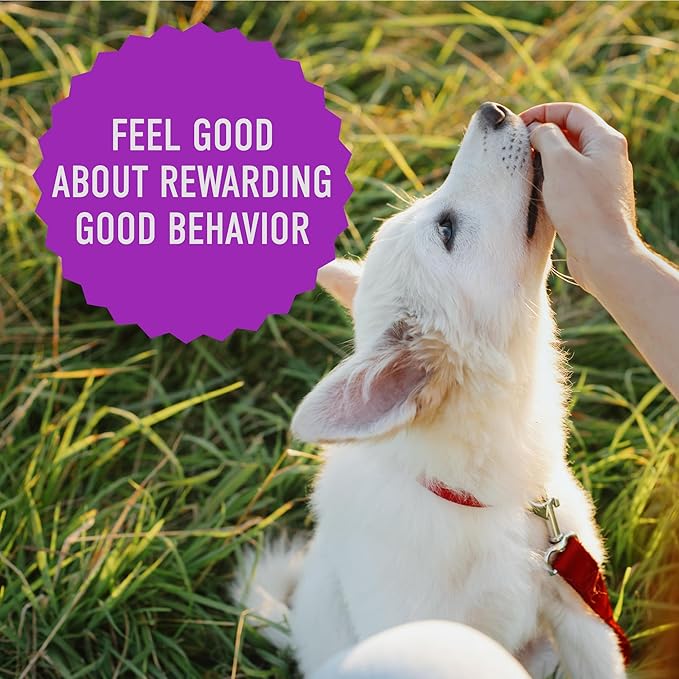 Cloud Star Tricky Trainers Soft & Chewy Dog Training Treats 5 oz Pouch, Liver Flavor, Low Calorie Behavior Aid with 130 treats - PAWPICO