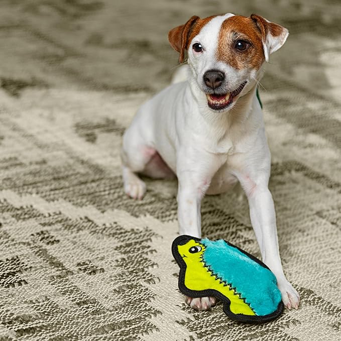 Outward Hound Durablez Tough Plush Squeaky Dog Toy, Hedgehog, Turquoise, XS - PAWPICO