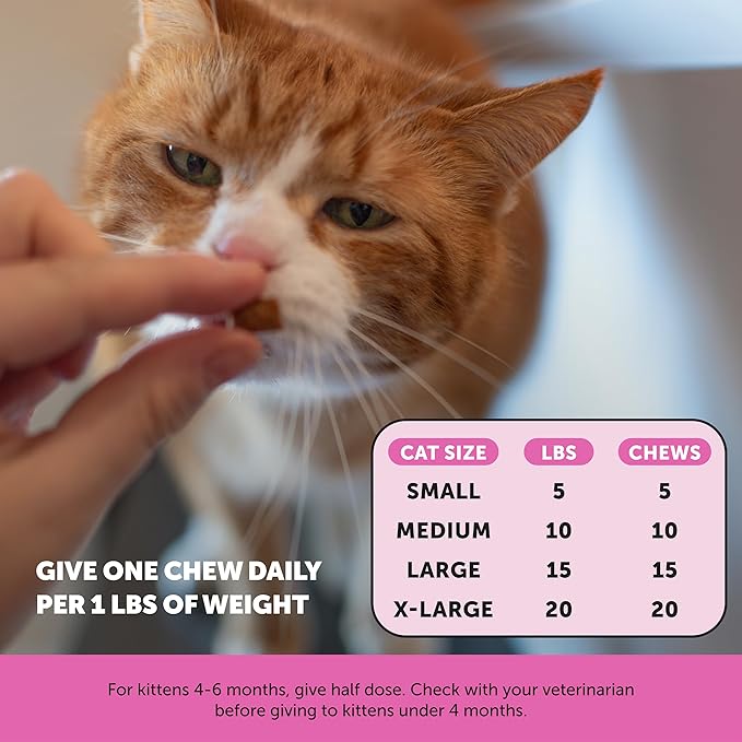 Pet Honesty Cat Multivitamin Chews - Cat Treats for Health + Immune, Cat Joint Support, Skin & Coat, and Digestion | Omega 3s, Lysine for Cats, Cat Probiotic, Cat Vitamins - Chicken (30-Day Supply) PetHonesty