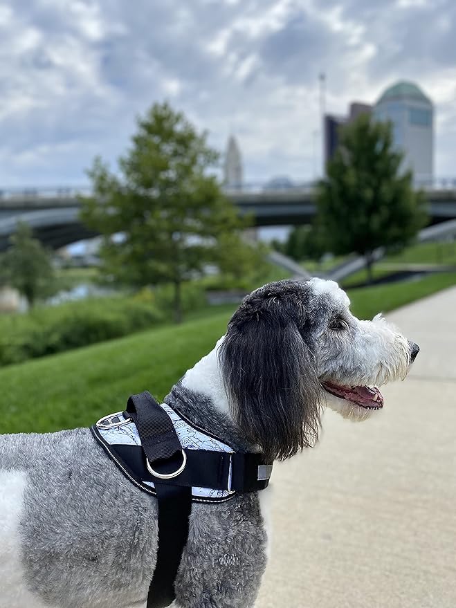 ShawnCo Essential Dog Harness, No-Pull Pet Vest with 3 Leash Clips, No Choke, Reflective, Adjustable and Padded, for Easy Walking and Training for Small, Medium and Large Dogs (White Marble, Medium) SHAWNCO