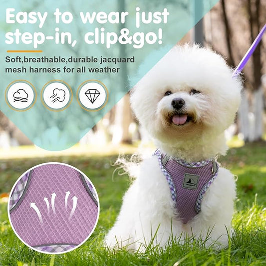 Dog Harness and Leash Set, No Pull Pet Harness for Small Dogs Easy Walking,Soft Breathable Small Dog Harness,Adjustable Reflective Step in Vest Harness for Puppy,Kitten, Cats TomteNisse