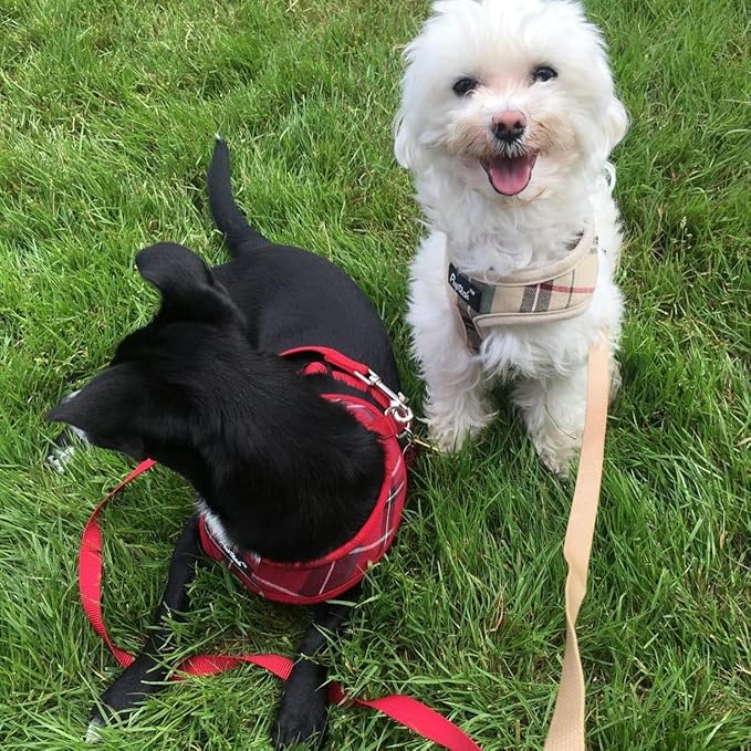 PUPTECK Soft Mesh Dog Harness and Leash Set Pet Puppy Cat Comfort Padded Vest No Pull Harnesses, Red, S PUPTECK