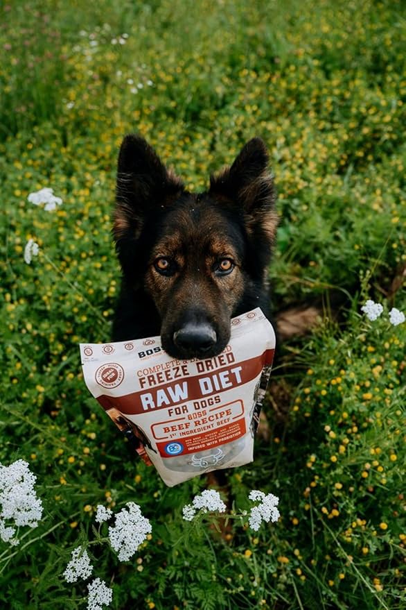 Complete & Balanced Freeze Dried Raw Diet for Dogs, Beef Recipe, 12 oz Bag BossDogBrand