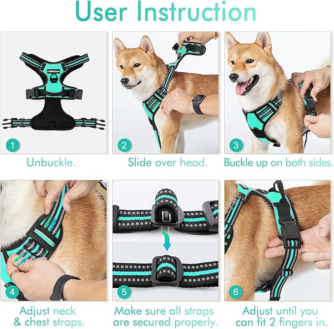 rabbitgoo Dog Harness No Pull with 2 Leash Clips, Adjustable Soft Padded, Reflective Oxford No Choke Pet Vest with Easy Control Handle for Large Dogs, Turquoise, L rabbitgoo
