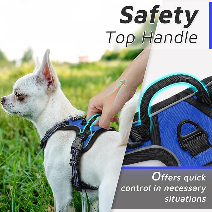 Eagloo Small Dog Harness No Pull, Service Vest with Reflective Strips and Control Handle, Adjustable and Comfortable for Easy Walking, No Choke Pet Harness with 2 Metal Rings, Blue, XS GoExplorewithEagloo