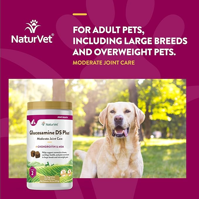 NaturVet – Glucosamine DS Plus - Level 2 Moderate Care – Supports Healthy Hip & Joint Function – Enhanced with Glucosamine, MSM & Chondroitin – for Dogs & Cats – 240 Soft Chews NaturVet