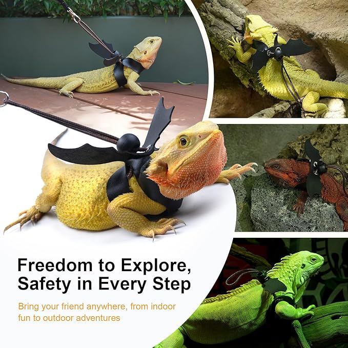 Bearded Dragon Harness and Leash Set, Adjustable Harness Soft Leather-3 Sizes (S, M, L) with Black Wing, Upgrade Lizard Reptile Leash Harness for Bearded Dragon,Lizard, Iguana or Gecko Bopurle