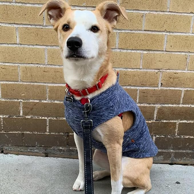 Gooby Zip Up Fleece Dog Sweater - Gray Wash, 2X-Large - Warm Pullover Fleece Step-in Dog Jacket Without Ring Leash - Winter Small Dog Sweater - Dog Clothes for Small Dogs Boy and Medium Dogs - PAWPICO