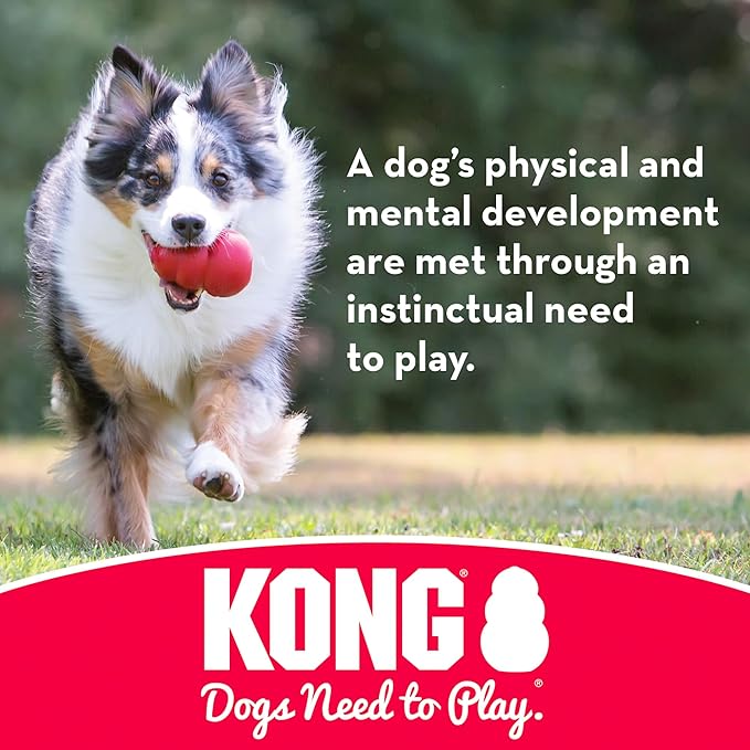 KONG Flyer - Durable Dog Toy for Outdoor Playtime - Natural Rubber Flying Disc, Dog Toy for Fetch - Safer Disc for Healthy Activity - for Medium/Large Dogs - PAWPICO