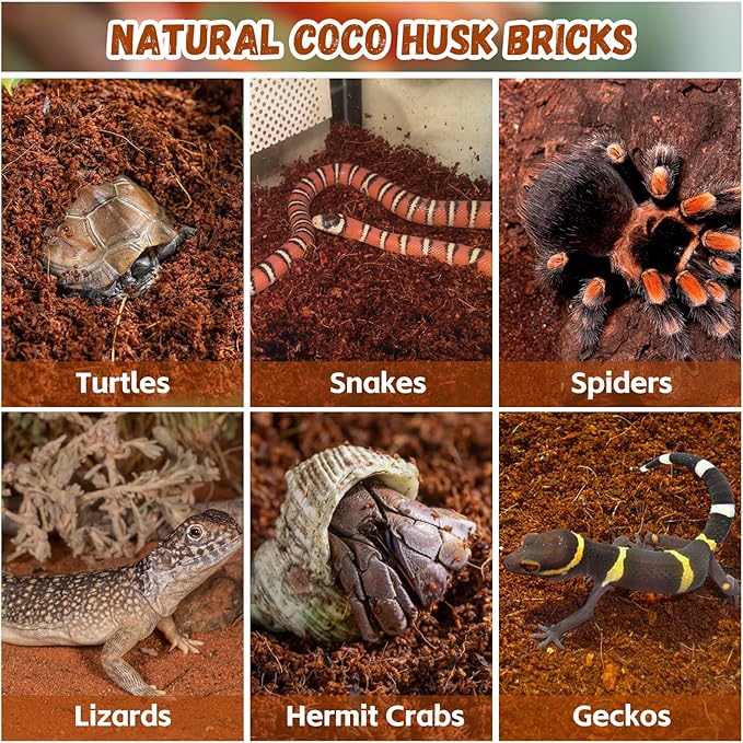 Legigo 6 Pack Compressed Coconut Fiber Substrate - 100% Organic Coconut Fiber Brick Bedding for Reptiles, Natural Coco Husk Substrate Terrarium Bedding for Snake, Hermit Crabs, Frogs, Tortoise, Gecko Legigo