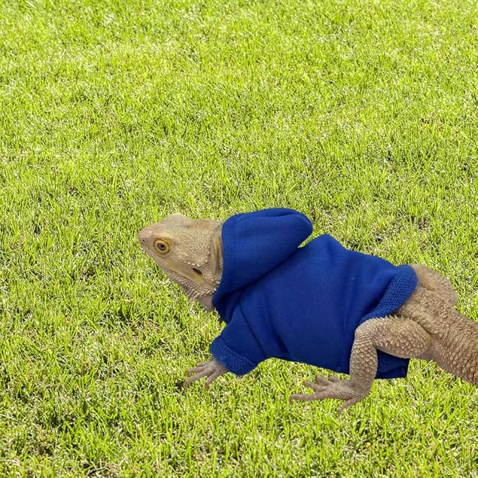 Bearded Dragons Hoodie - Handmade Adjustable Cotton Sweater Reptile Jacket Shirt for Skin Protection Small Animal Costume Apparel for Lizard Bearded Dragon Crested Gecko Chameleon (L, Blue) WCDJOMOP