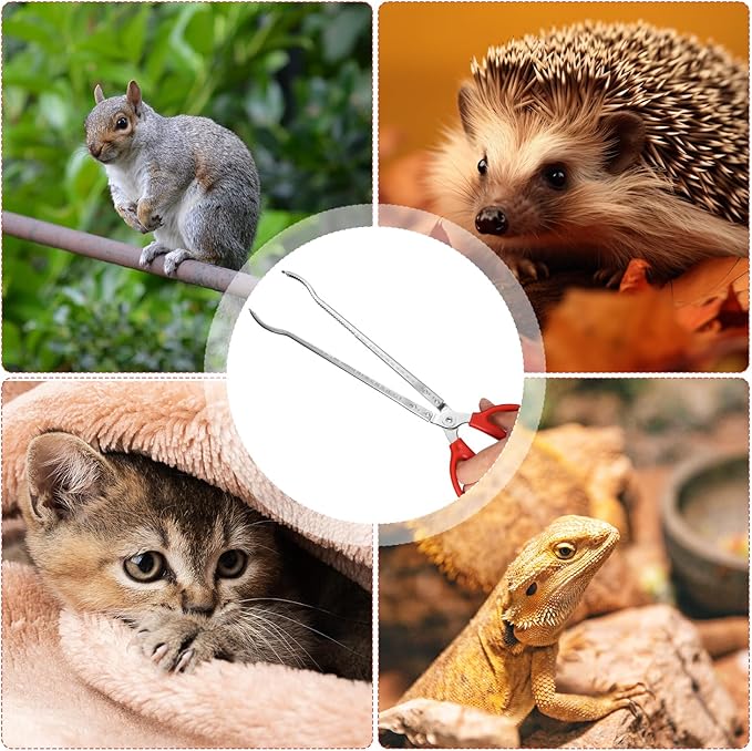 Reptile Feeding Tongs, 15 Inch Snake Feeding Tongs Anti-Skid Easy-Grip Extra Long Tweezers for Terrarium Corn Ball Python Accessories Axolotl Bearded Dragon Feeding Supplies lasuroa