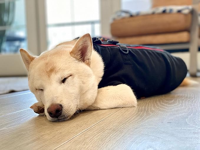 Gooby Zip Up Fleece Dog Sweater - Black, X-Large - Warm Pullover Fleece Step-in Dog Jacket with Dual D Ring Leash - Winter Small Dog Sweater - Dog Clothes for Small Dogs Boy and Medium Dogs - PAWPICO