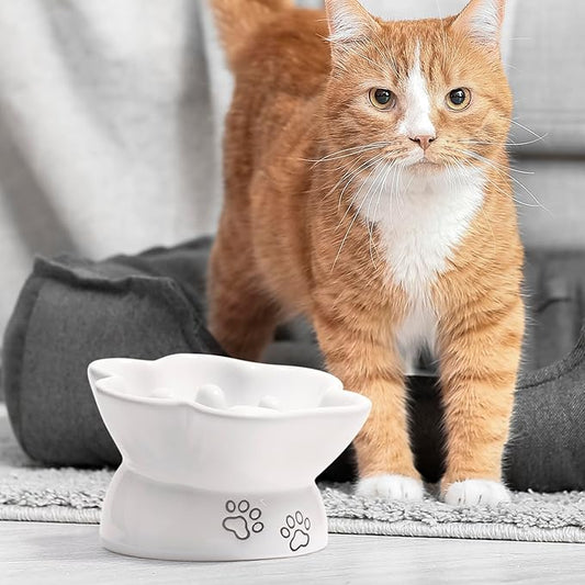 Kaiikai’s Slow Feeder Dog Bowls and Cat Food Bowl 13 oz Ceramic Dog Water Bowl Elevated Slow Feeder Dog Food Bowls Slow Feeder Cat Bowl Small Dog Slow Feeder Bowl for Dry and Wet Food Puppy Supplies - PAWPICO