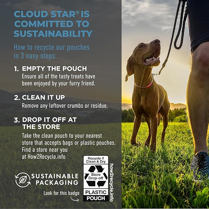 Cloud Star Tricky Trainers Soft & Chewy Dog Training Treats 5 oz Pouch, Salmon Flavor, Low Calorie Behavior Aid with 130 treats - PAWPICO