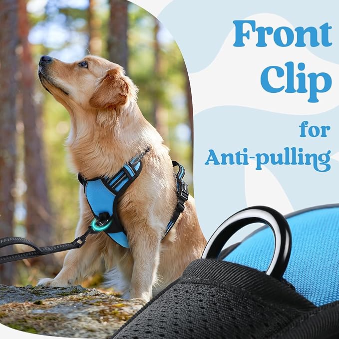 rabbitgoo Dog Harness for Large, No Pull Pet Harness with 3 Buckles, Adjustable Soft Padded Pooch Vest with Instant Control Handle, Easy Walking Reflective Pet Vest for Extra Large Dogs, Sky Blue, XL rabbitgoo
