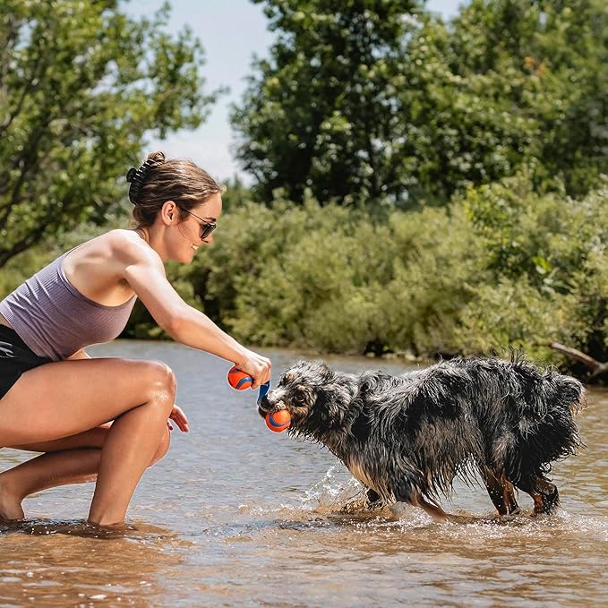 Chuckit! Ultra Duo Tug Dog Toy, Medium Indoor and Outdoor Dog Ball for Dogs 20-60 Pounds - PAWPICO