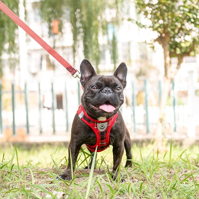 EXPAWLORER Classic Plaid Puppy Harness - Small Dog Harness and Leash Set - Dog Collar and Leash Set with AirTag Holder, Soft Padded Step in Dog Vest Harness No Pull Reflective for Outdoor, Red L EXPAWLORER