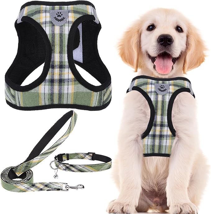 PUPTECK Adjustable Dog Harness Collar and Leash Set Step in No Pull Pet Harness for Small Medium Dogs Puppy and Cats Outdoor Walking Running, Soft Mesh Padded Reflective Vest Harnesses, Grn&YLW, S PUPTECK