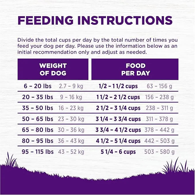 Wellness Complete Health Adult Dry Dog Food, Beef & Barley Recipe, 5 Pound Bag - PAWPICO