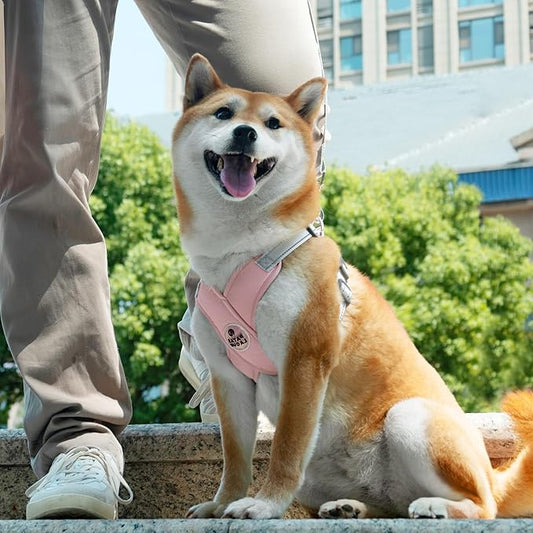 Patas Lague Dog Harness with Leash Set Adjustable Soft Padded Step-in Dog Vest No Choke No Pull Reflective for Medium Pets with Poop Bags and Dispenser, Solid and No-chew, Pink L PatasLague