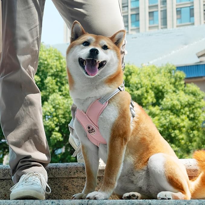 Patas Lague Dog Harness with Leash Set Adjustable Soft Padded Step-in Dog Vest No Choke No Pull Reflective for Small Medium Pets with Poop Bags and Dispenser, Solid and No-chew, Pink S PatasLague