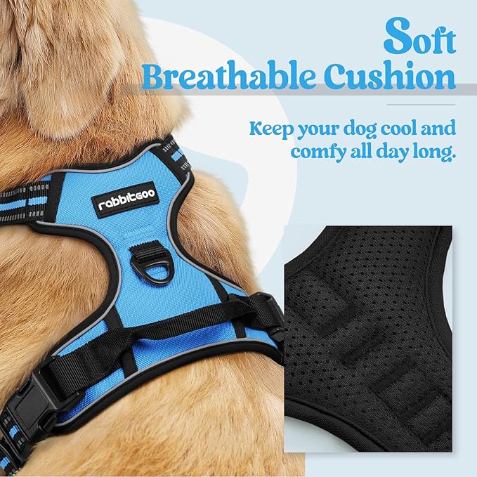 rabbitgoo Dog Harness No Pull with 2 Leash Clips, Adjustable Soft Padded, Reflective Oxford No Choke Pet Vest with Easy Control Handle for Small Dogs, Blue, S rabbitgoo