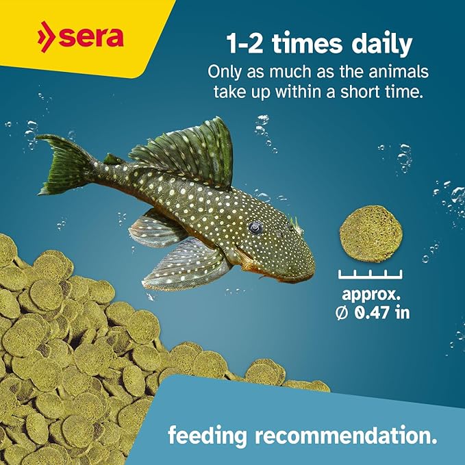 sera Catfish Chips Nature 13.4 oz./0.84lbs | Premium Fish Food for Ancistrus & Plecos | High Fiber | No Dyes & Preservatives | Supports Digestion & Promotes Healthy Growth | Ideal for Bottom Feeders Sera