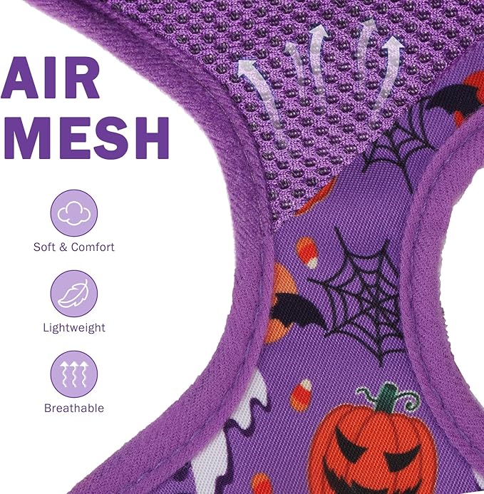 SCENEREAL Small Dog Harness Collar and Leash Set, Adjustable No Pull Pet Harnesses, No Chock Soft Mesh Step in Vest Halloween Costume for Doggie Puppy Dogs Cats Girl Boy Outdoor Walking - PAWPICO