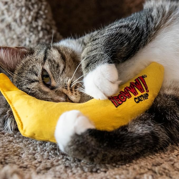 Yeowww! Catnip Toy, Yellow Banana - PAWPICO