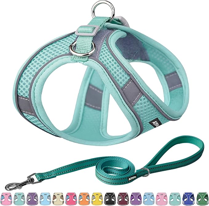 AIITLE Dog Harness, Spring No-Pull Cat Harness with a Leash, Adjustable Reflective Dog Vest, Cat Harness Escape Proof, Outdoor Walking, Camping for Extra Small Dogs and House Cats Pure Turquoise XXXS AIITLE-FORPETSBETTERLIFE