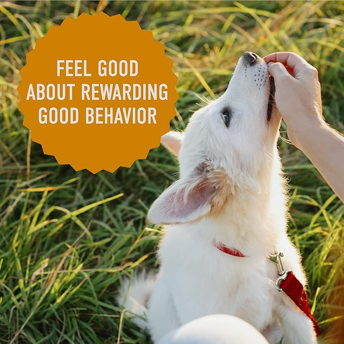 Cloud Star Tricky Trainers Soft & Chewy Dog Training Treats 14 oz Pouch, Cheddar Flavor, Low Calorie Behavior Aid with 360 treats - PAWPICO