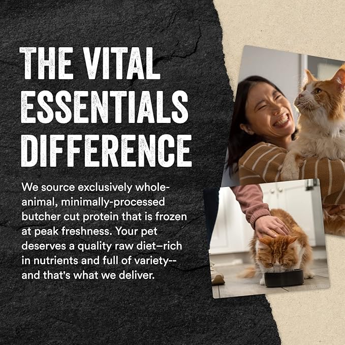 Vital Essentials Freeze Dried Raw Cat Food, Duck Mini Patties Entree, 3.75 oz VitalEssentials