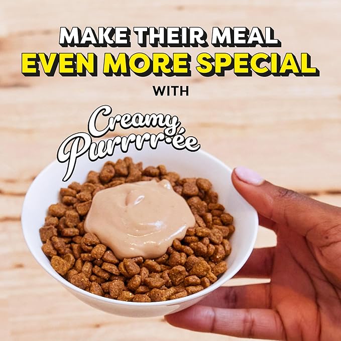 Temptations Creamy Puree with Salmon Lickable, Squeezable Cat Treats, 0.42 oz Pouches, 24 Count Temptations