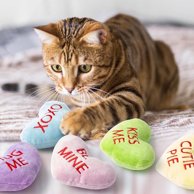 MALLMALL6 5Pcs Valentine’s Day Conversation Heart Catnip Toys Gift for Cat, Indoor Cat Chew Bite Kick Plush Candy Catmint Pet Toys for Cat Lover Gifts, Cute Interactive Cat Toy with for Pet Presents - PAWPICO
