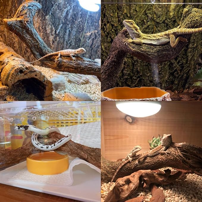 BNOSDM Reptile Forest Climbing Branch Decor Crested Gecko Climb Wood Natural Branches Tree for Snake Frog Chameleon Spider Bearded Dragon Terrarium Habitat Tank Accessories,4PCS BNOSDM