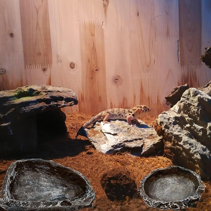 3 Pack Reptile Water Dish Food Bowl, Reptile Feeding Terrarium Bowls for Bearded Dragon Lizard Frog Gecko Tortoise Hermit Crab Snail (Black) CATDABIR