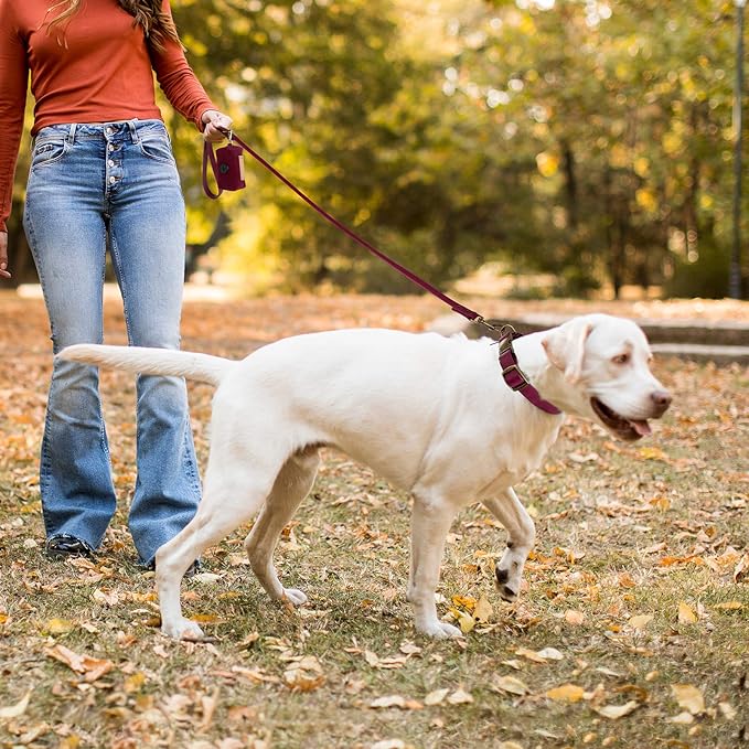 Wisedog Dog Collar and Leash Set Combo: Adjustable Pet Collars with Dog Leashes for Small Medium Large Dogs,Includes 1 Bonus of Poop Bag Holder (XL(Collar:16"- 25.5";Leash:6 ft), Burgundy) WisedogPetSupplies
