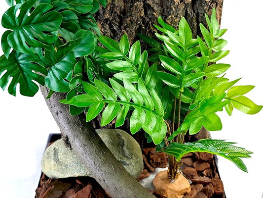 Woyrise Reptile Artificial Plants for Terrarium Decor, Amphibian Habitat Decorations Bearded Dragon Tank Accessories fit Crested Gecko Leopard Lizard Chameleon Ball Python Snake Frog - Fake Osmunda Woyrise