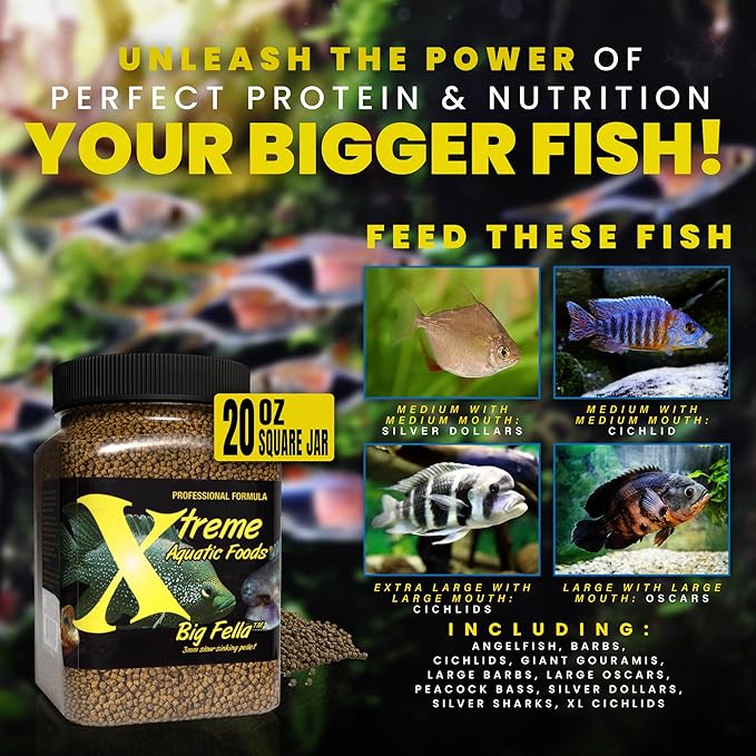 Xtreme Big Fella 3.0mm Pellets: Professional Nutrition for Medium to Large Cichlid/Community Fish - Boost Immune & Digestive Health, Color & Energy, Max Protein Fish Food – USA Farm Grown (20oz) XtremeAquaticFoods