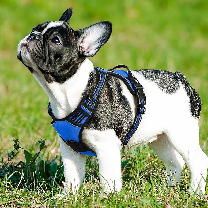 Eagloo Dog Harness Small Sized Dog, No Pull Service Vest with Reflective Strips and Control Handle, Adjustable and Comfortable for Easy Walking, No Choke Pet Harness with 2 Metal Rings, Blue, S GoExplorewithEagloo
