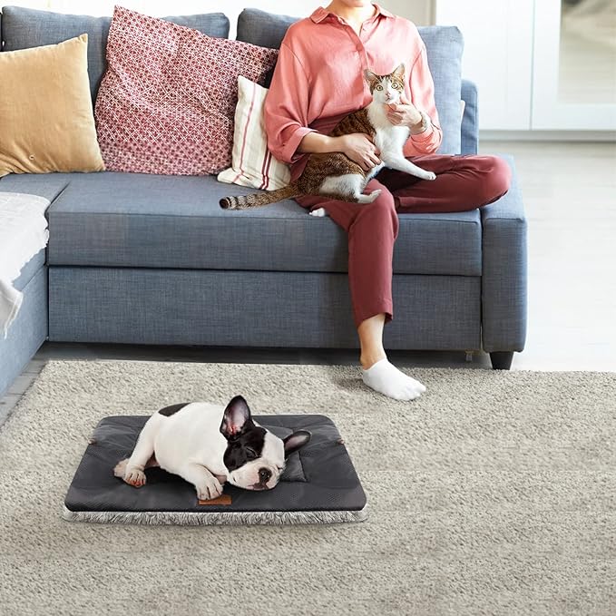 Cat Bed Small Dog Bed 24''X20'' Self Warming Cat Bed Self Heating Cat Pad Extra Warm Thermal Kitten Beds for Indoor Outdoor Kittens Small Pets (Black) - PAWPICO