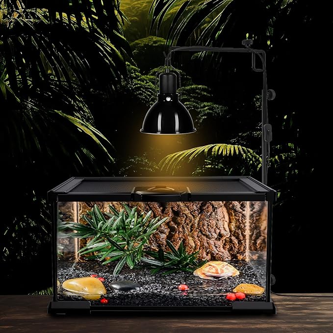 5.5inch Shallow Dome Reptile Light Fixture Reptile Heat Lamp Terrarium Reptile UVB Light Fixture for Bearded Dragon, Lizard, Hermit Crab, Turtle Tank and Vivarium(Max 100W) DXOPHIEX