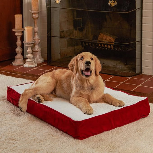 Happy Hounds Oscar Rectangle Orthopedic Foam Sherpa Dog Bed, Small (36 x 24 in.), Red - PAWPICO