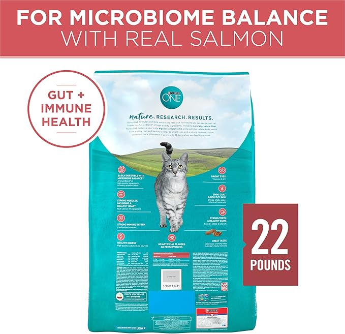 Purina ONE Natural Dry Cat Food, Tender Selects Blend with Real Salmon - 22 lb. Bag - PAWPICO