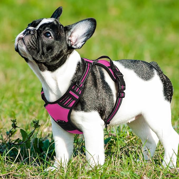 Eagloo Dog Harness Small Sized Dog, No Pull Service Vest with Reflective Strips and Control Handle, Adjustable and Comfortable for Easy Walking, No Choke Pet Harness with 2 Metal Rings, Rose Red, S GoExplorewithEagloo