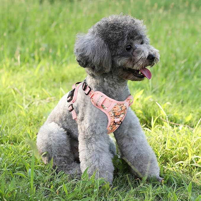 Timos Dog Harness, No-Pull Pet Harness with 2 Leash Clips, Adjustable Soft Padded Dog Vest, Reflective Outdoor Pet Oxford Vest with Easy Control Handle Timos